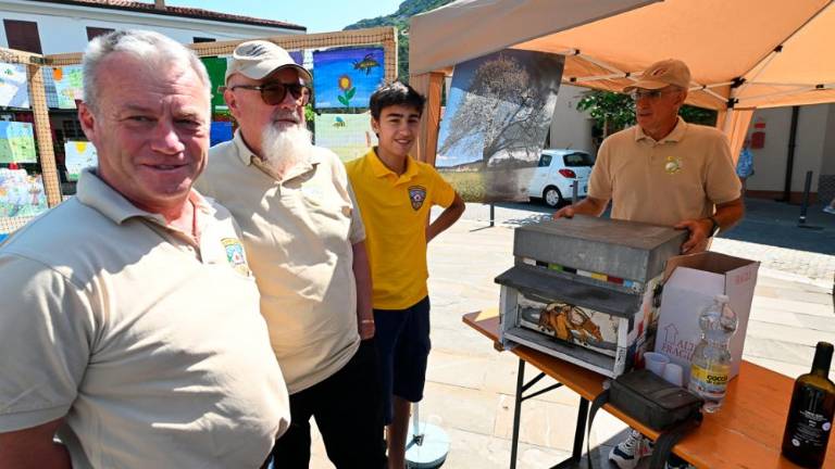 Dan čebel v dolinski občini