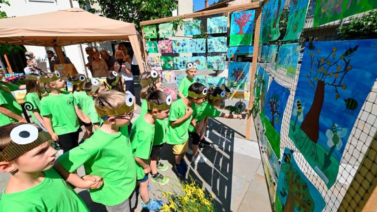 Dan čebel v dolinski občini