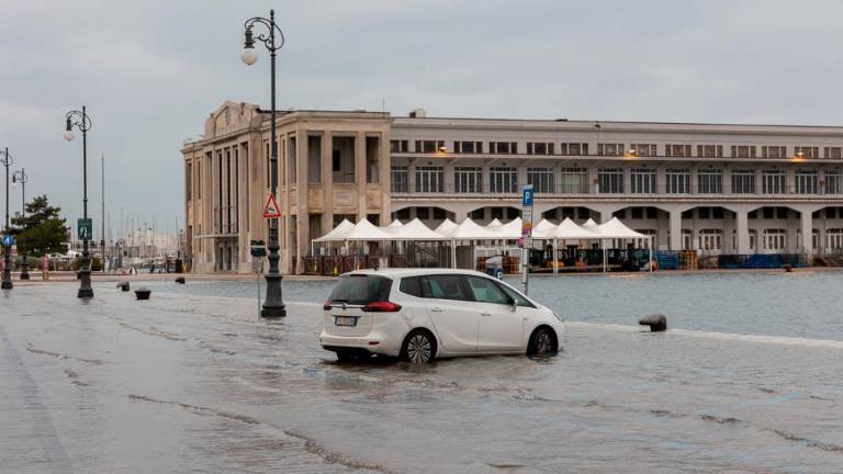 Poplave v Trstu in Miljah