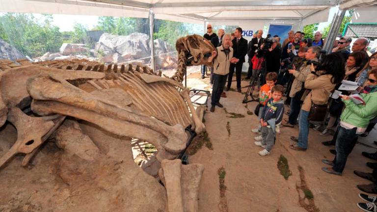 Antonio in Bruno bi se rada vrnila domov