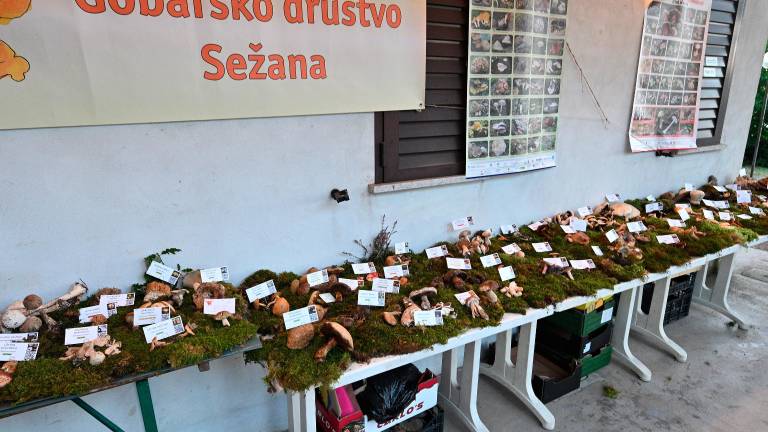 Kraški Oktoberfešt je uspel