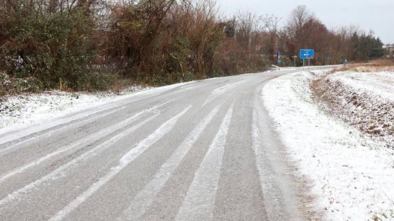 Sneg za krajši čas pobelil Goriško in del Kraške planote
