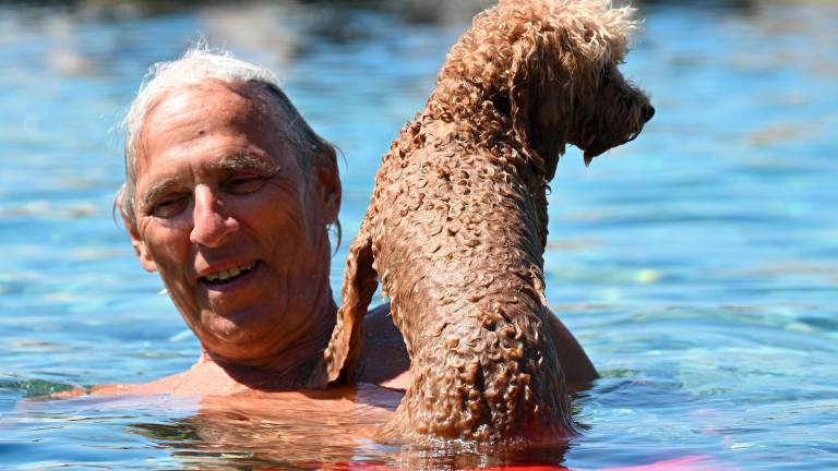 Štirinožni prijatelji imajo svojo plažo