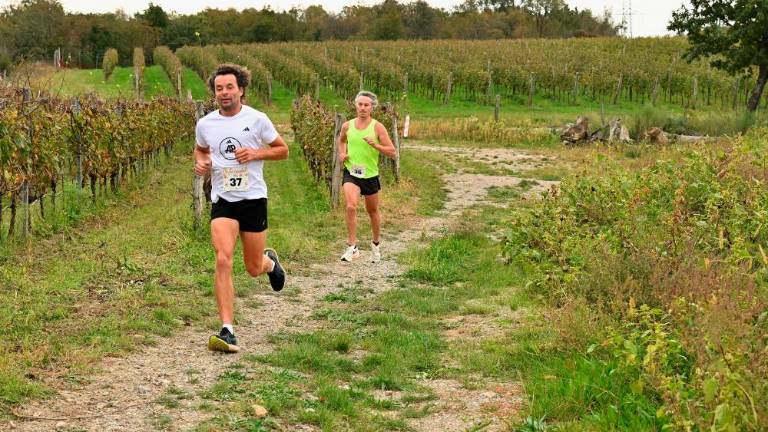 Kar 120 tekačev na 5. Teku med vinogradi