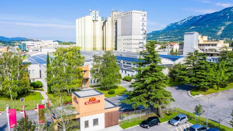 Veganske torte pošiljajo na italijanski trg