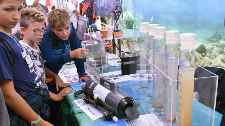 Vrača se Trieste Next