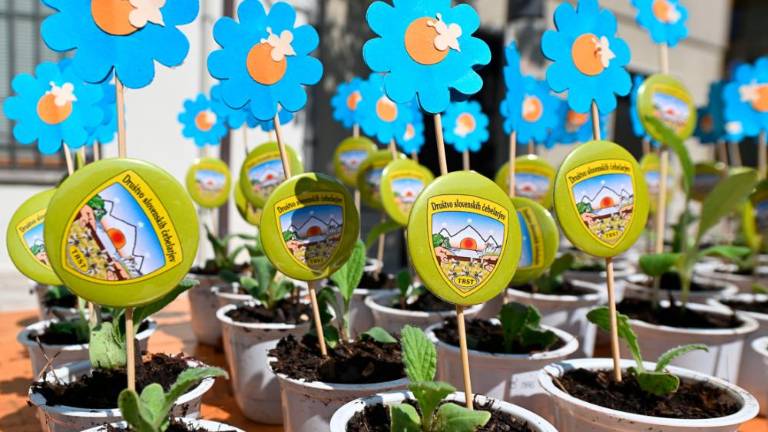 Dan čebel v dolinski občini