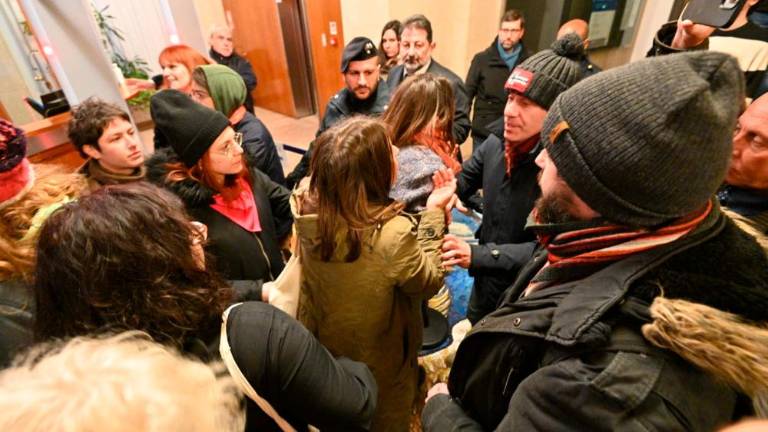 Napeto pred deželnim svetom (video)