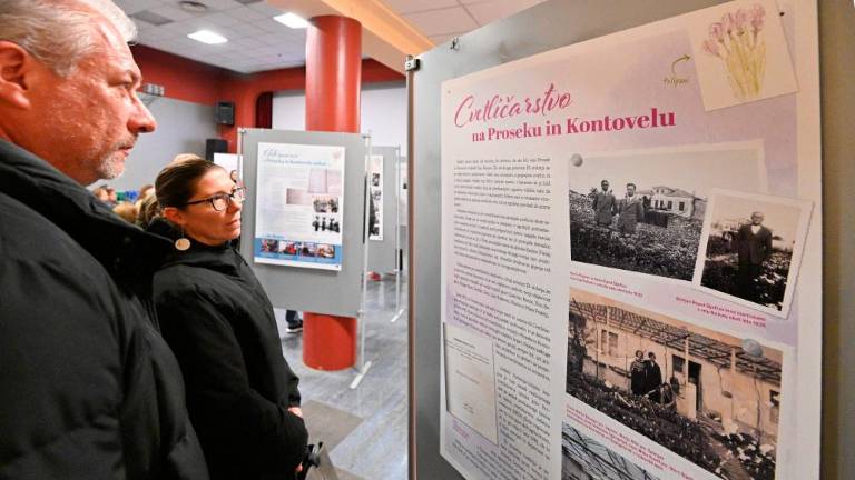 Do petka na ogled razstava o rožnarcah