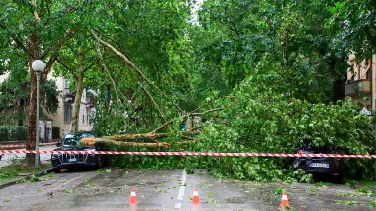 Na Goriškem pustošilo neurje (foto)