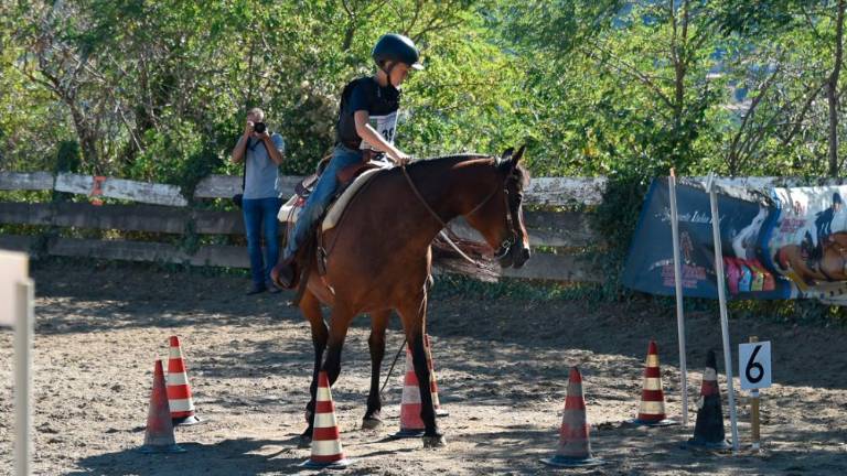 Na Dolgi kroni so spet tekmovali