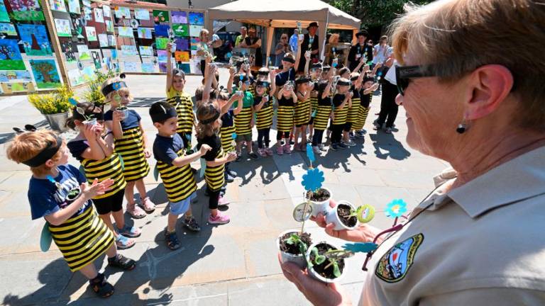 Dan čebel v dolinski občini