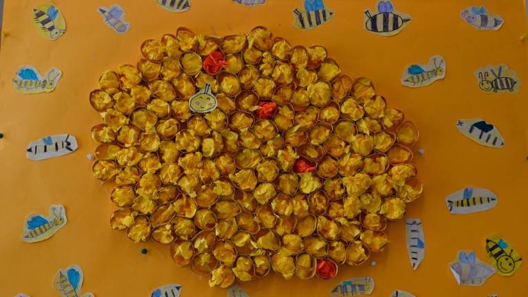 Ob svetovnem dnevu čebel