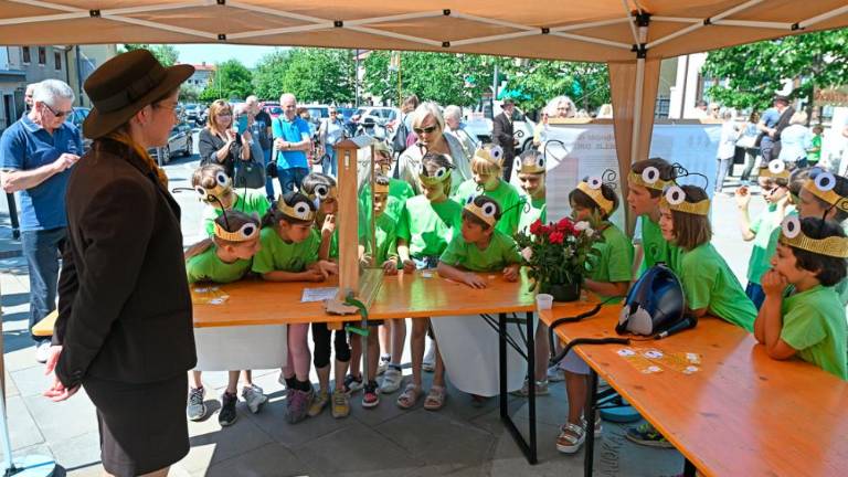 Dan čebel v dolinski občini