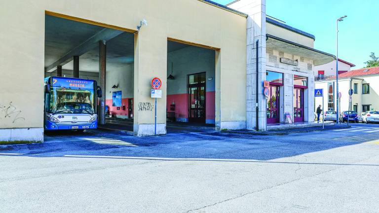 Najstnik je v Miljah zabodel vrstnika