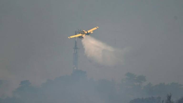 Zagorelo na dveh mestih, ogenj naj bi bil podtaknjen (foto in video)