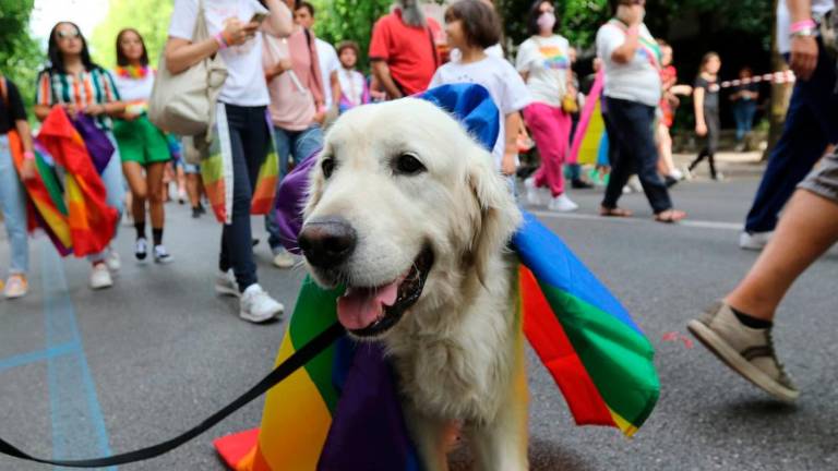 Čezmejna parada ponosa