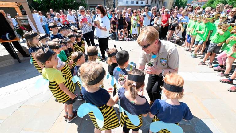 Dan čebel v dolinski občini