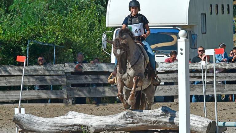 Na Dolgi kroni so spet tekmovali