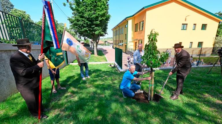 Dan čebel v dolinski občini