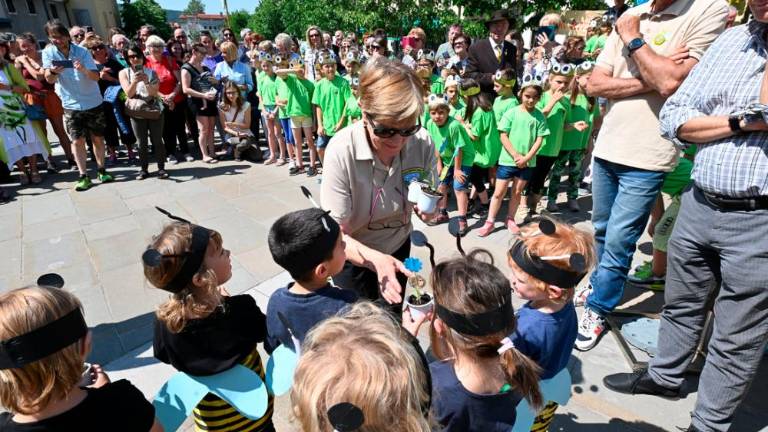 Dan čebel v dolinski občini