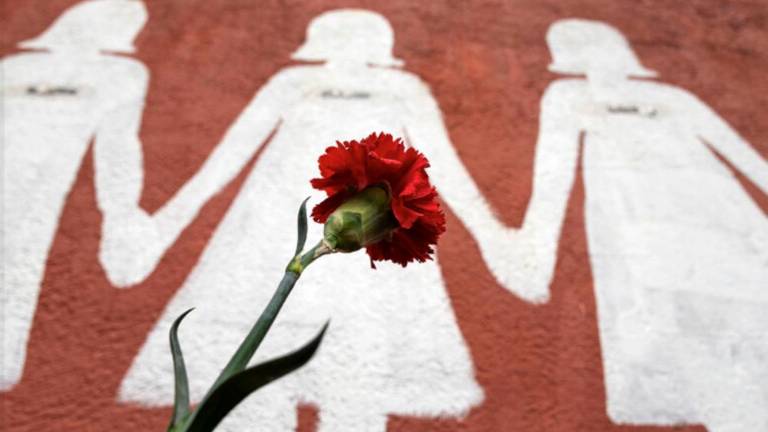 Ob 25. novembru rdeče vrtnice, fotografije, filmi in predavanja