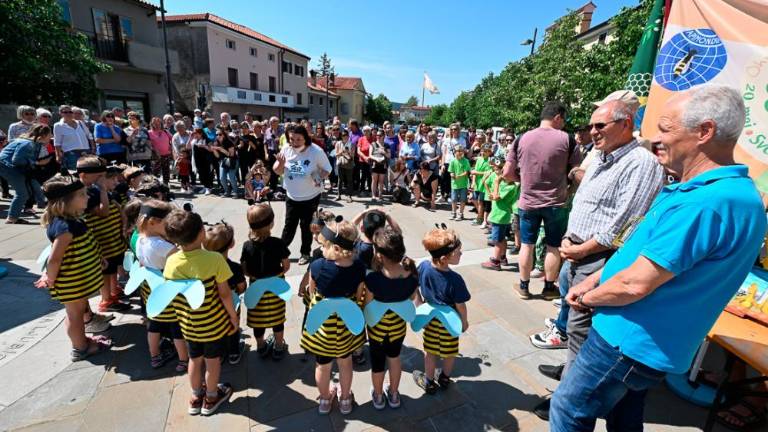 Dan čebel v dolinski občini