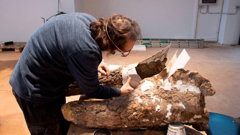 Pravi jurski park v malem