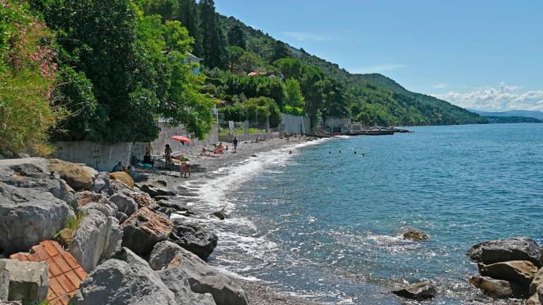 V Tržaškem zalivu letos ni strupenih alg