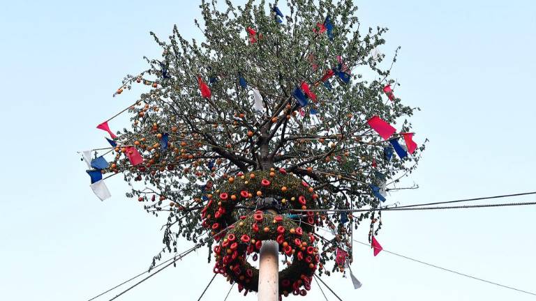 Veselo razpoloženje na Majenci