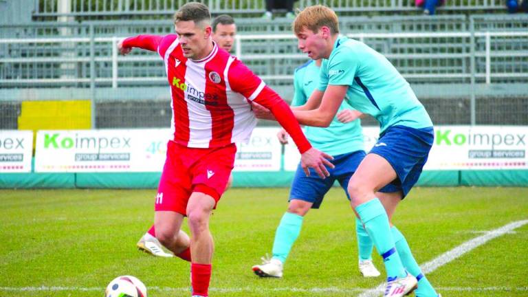 Kras danes v Miljah, Jadran v gosteh