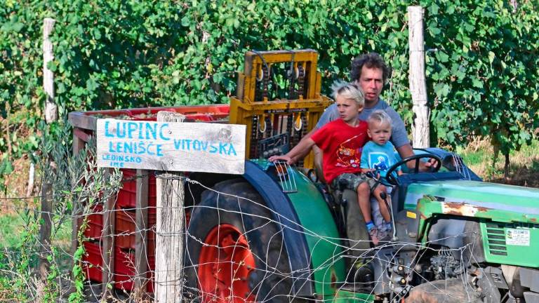 Trgatvi v Ricmanjih in Praprotu