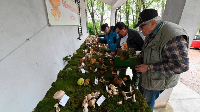 V Praprotu Kraški Oktoberfešt v polnem teku