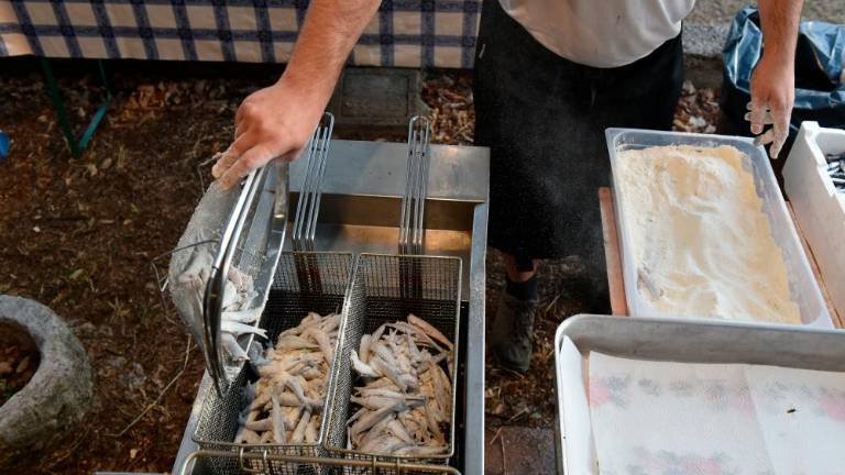 Športna dvorana Tanie Cerne