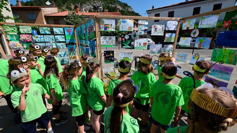 Dan čebel v dolinski občini