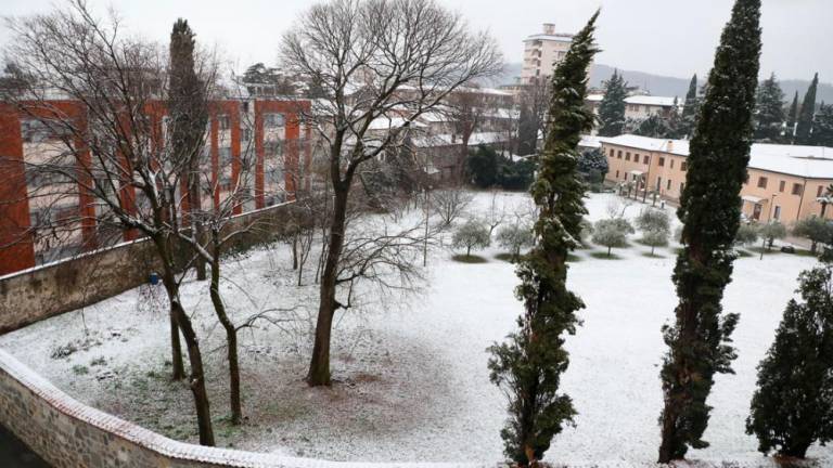 Sneg za krajši čas pobelil Goriško in del Kraške planote