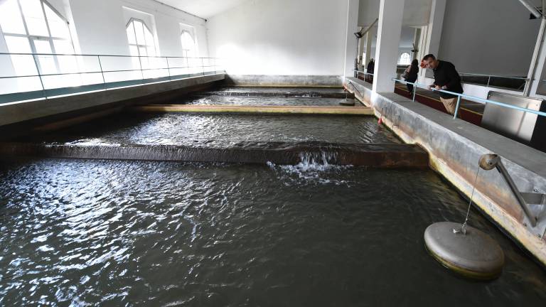 V Trstu je voda 75 odstotkov dražja kot v Vidmu