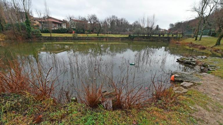 Mlaka do novega življenja