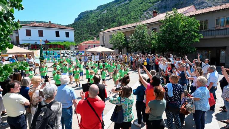 Dan čebel v dolinski občini