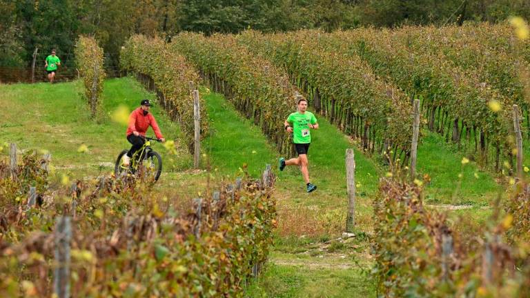 Kar 120 tekačev na 5. Teku med vinogradi