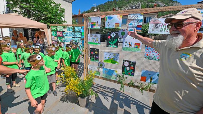 Dan čebel v dolinski občini