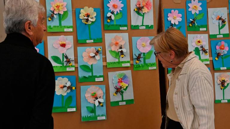 Ob svetovnem dnevu čebel