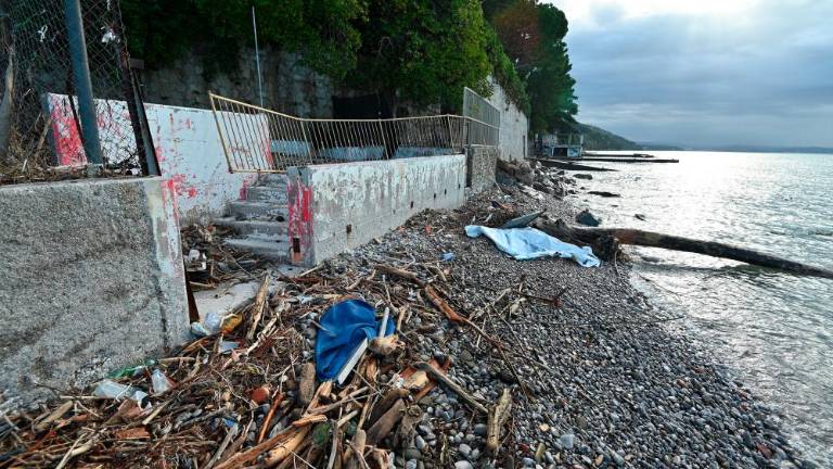 Sprehod po opustošeni kriški obali