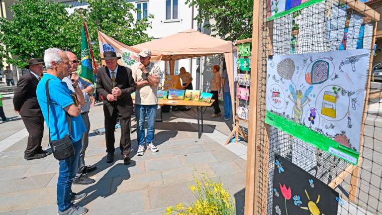 Dan čebel v dolinski občini