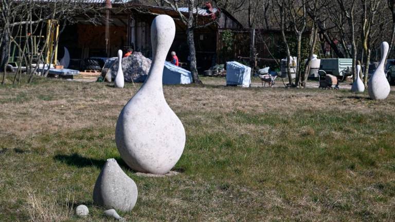 Obisk pri Robinu Soaveju