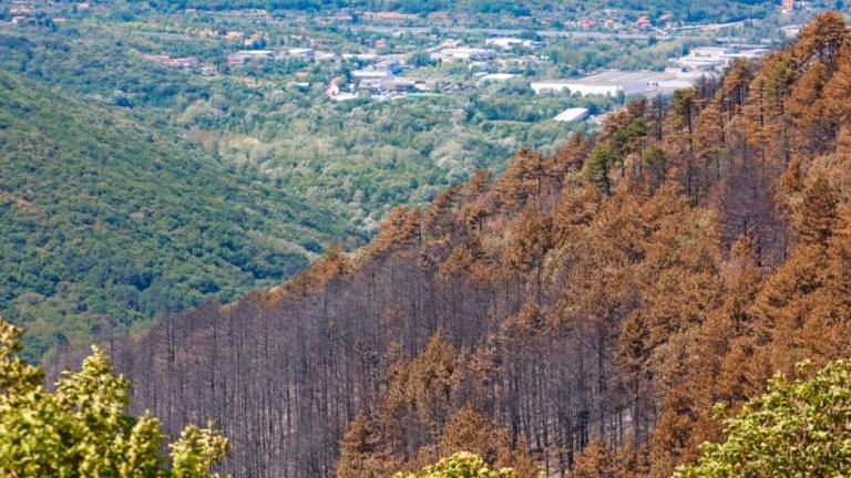 Mirna noč na požarišču pod Socerbom