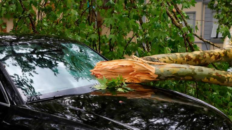 Na Goriškem pustošilo neurje (foto)