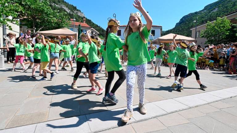 Dan čebel v dolinski občini