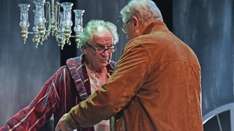 Bernhardov Videz vara