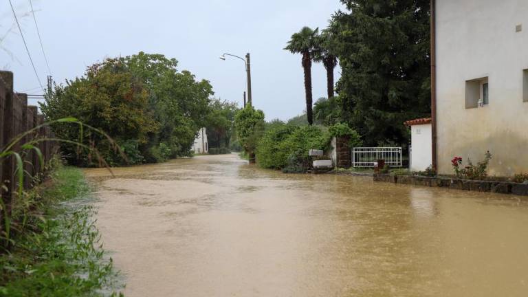Obilica dežja povzroča težave na Goriškem